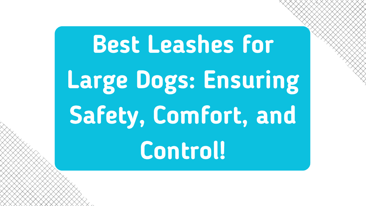 Best Leashes for Large Dogs