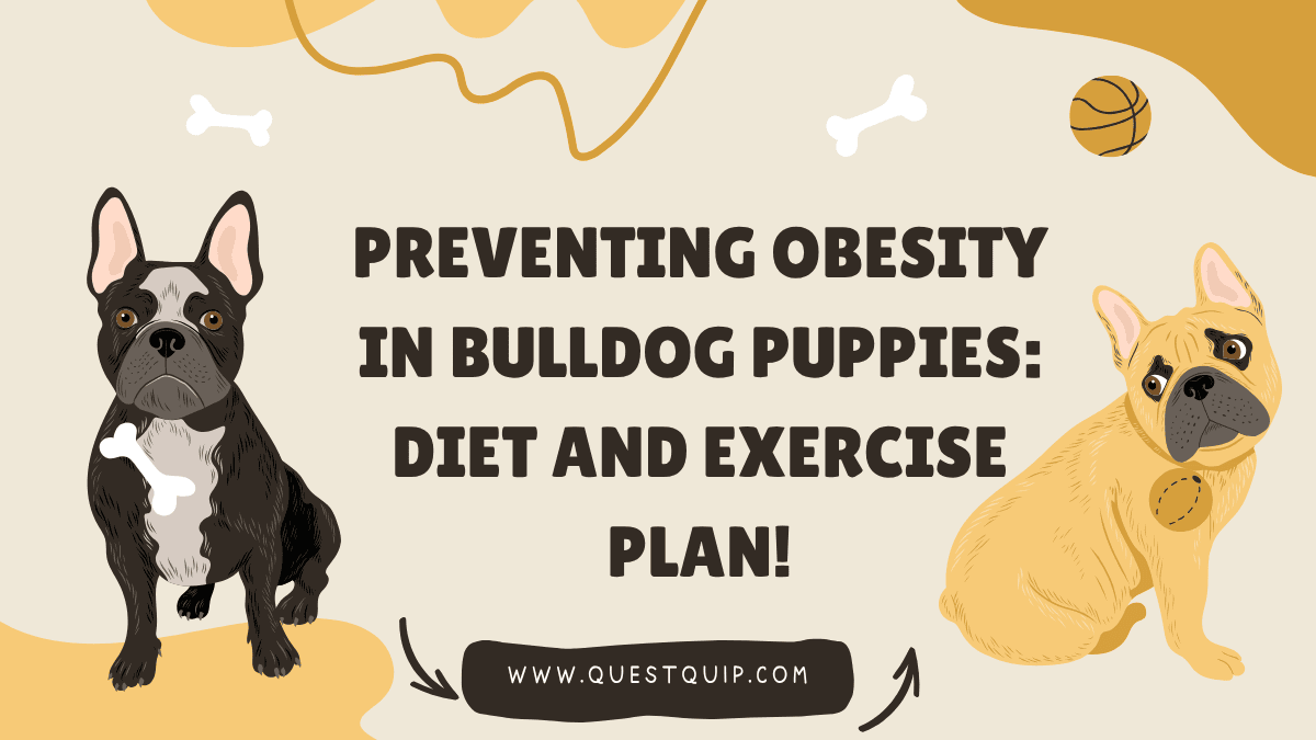 Obesity in Bulldog Puppies