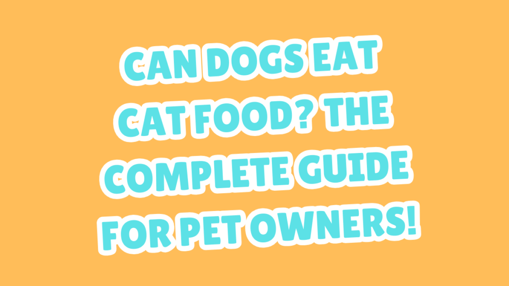 Can Dogs Eat Cat Food