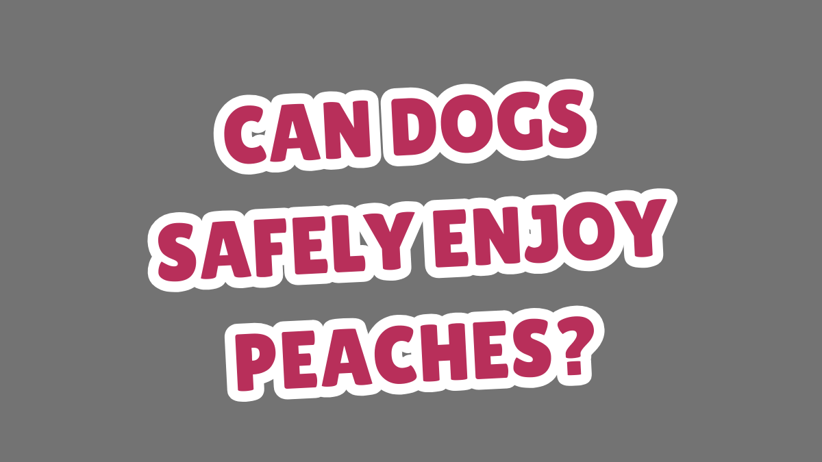 Can Dogs Safely Enjoy Peaches?