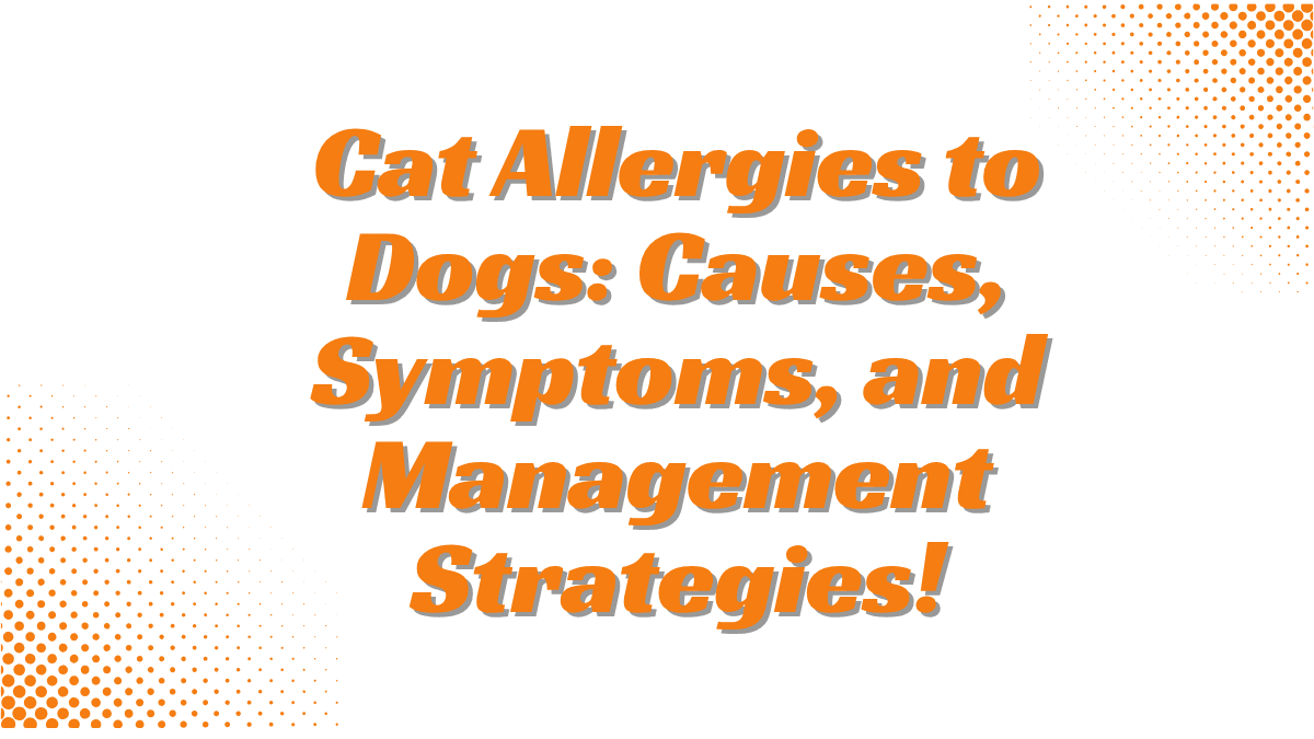 Cat Allergies to Dogs