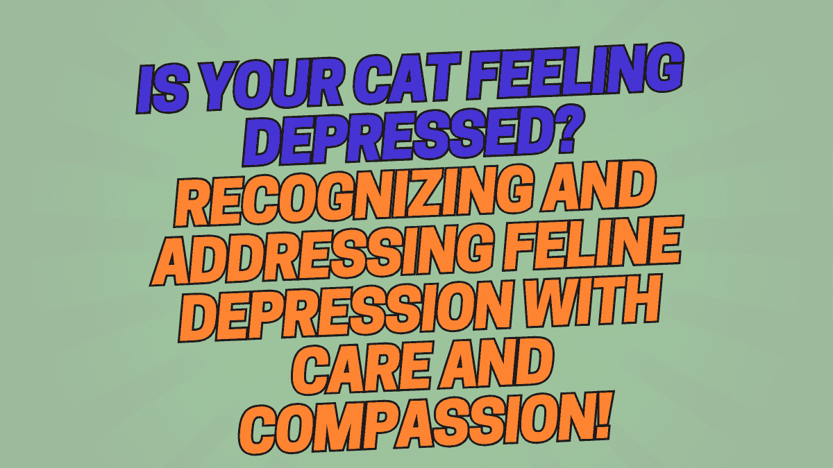 Is Your Cat Feeling Depressed