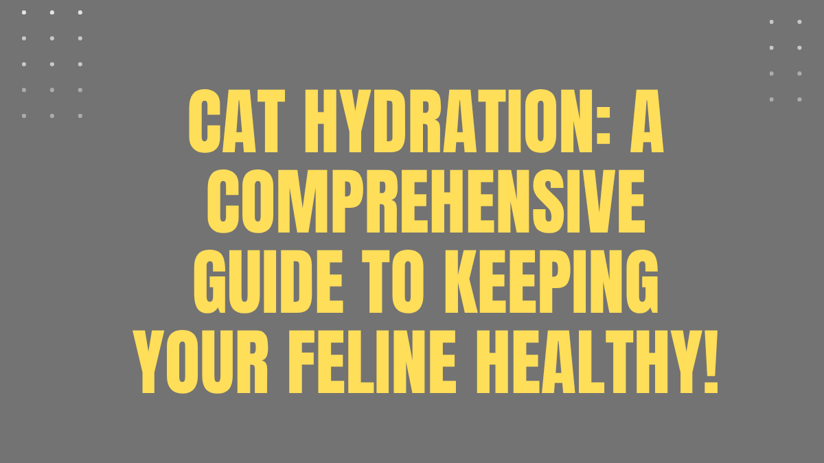 Cat Hydration