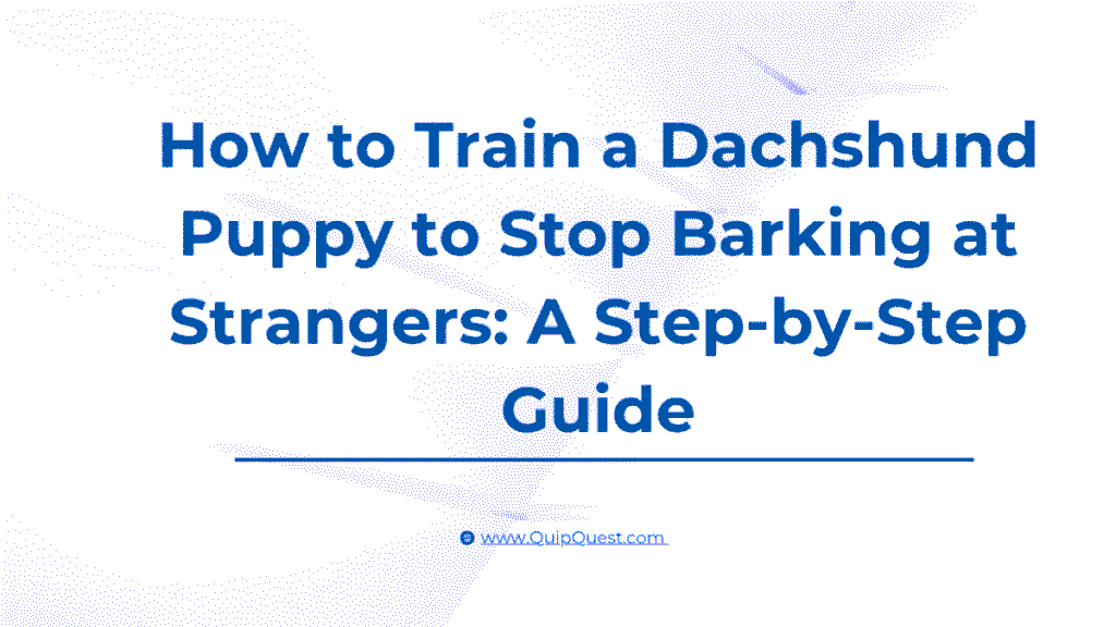 Dachshund Puppy to Stop Barking