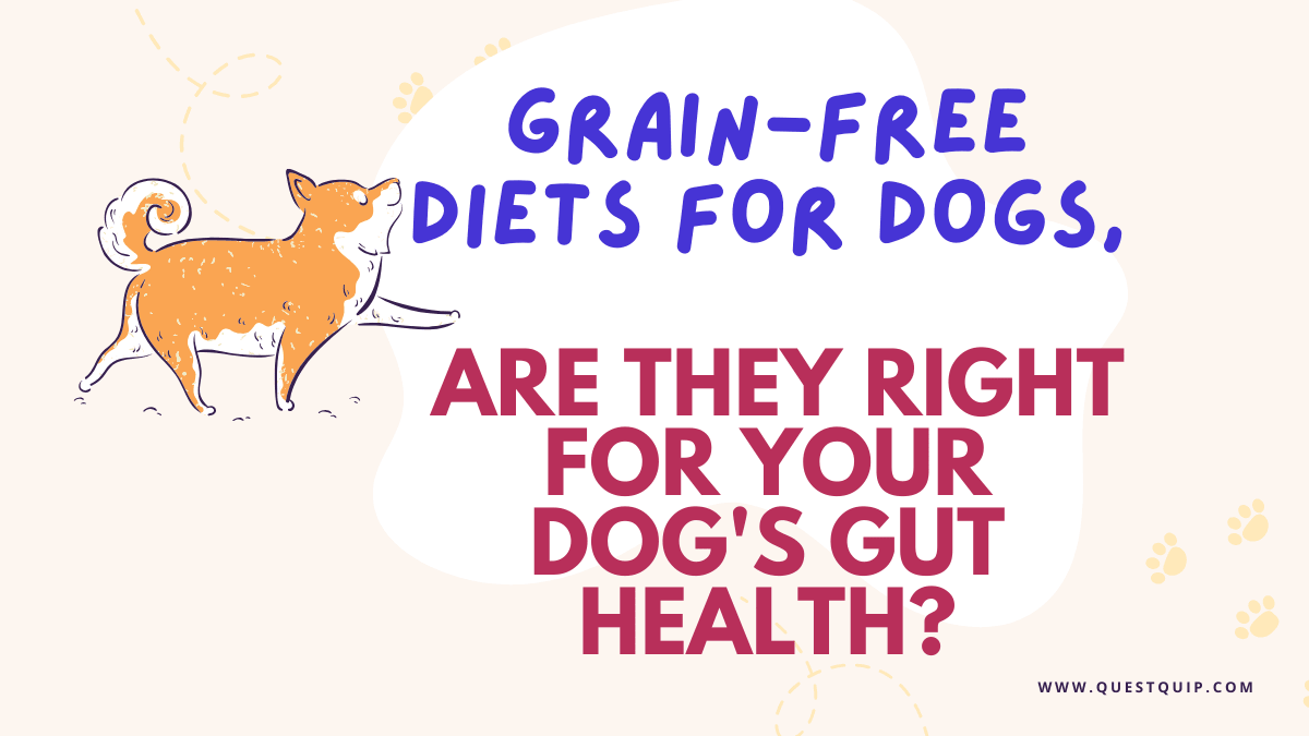 Diets for Dogs