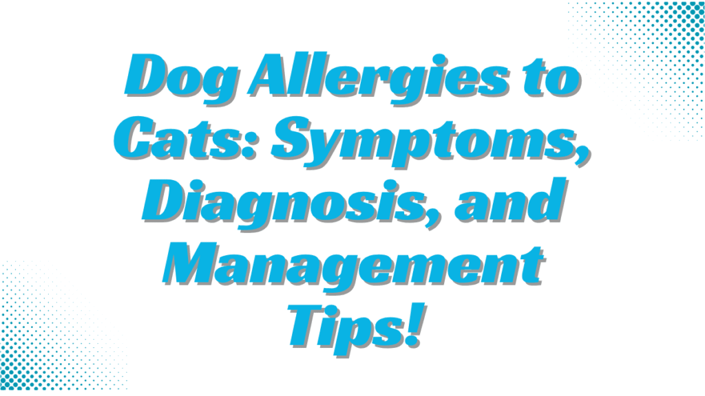 Dog Allergies to Cats