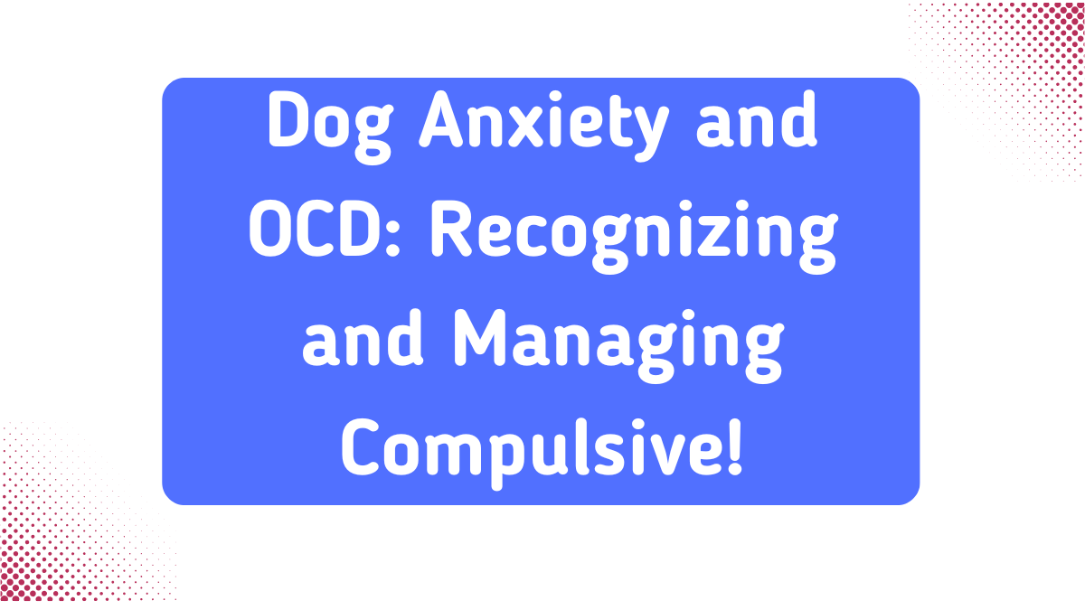 Dog Anxiety and OCD