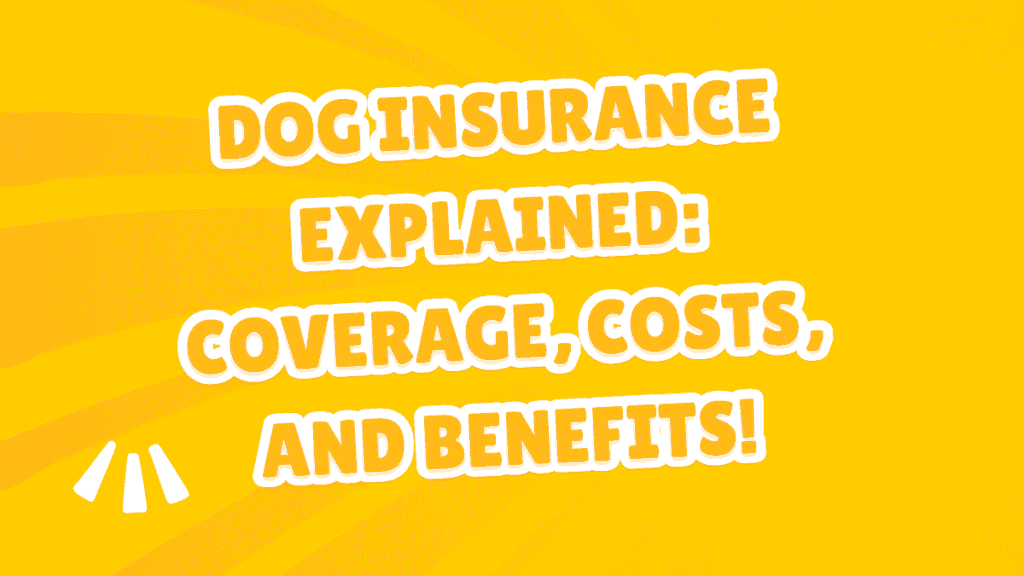 Dog Insurance