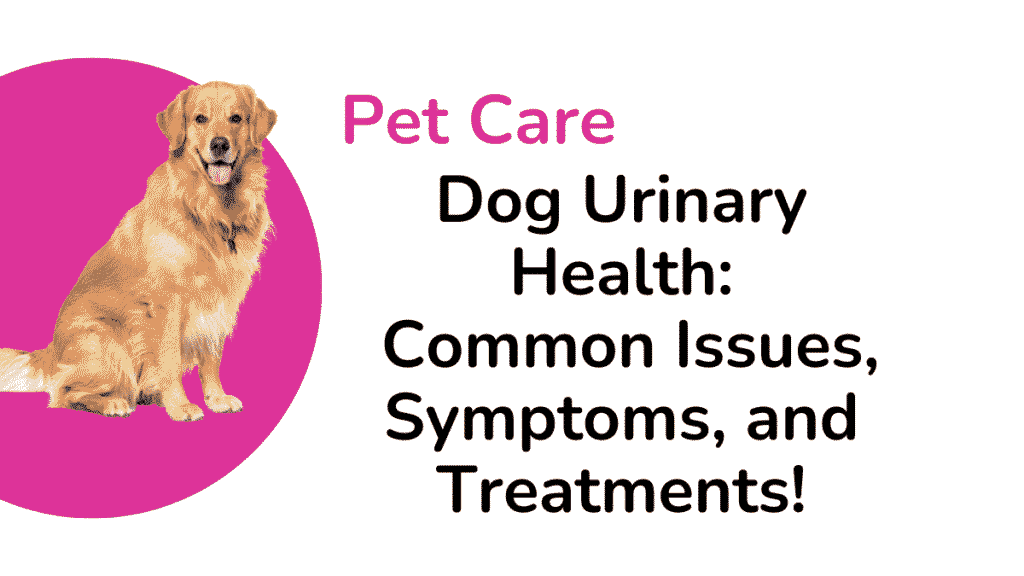 Dog Urinary Health