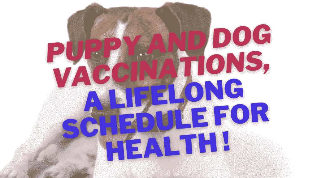 Dog Vaccinations