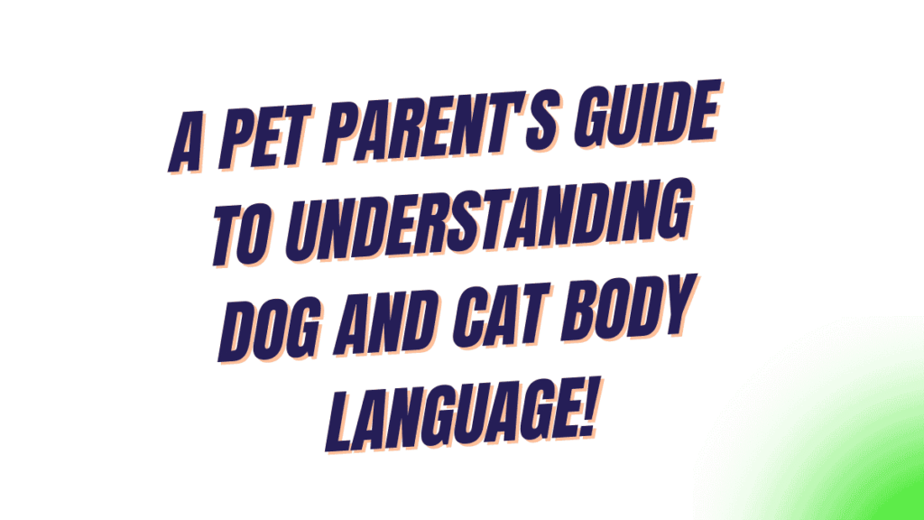 Dog and Cat Body Language