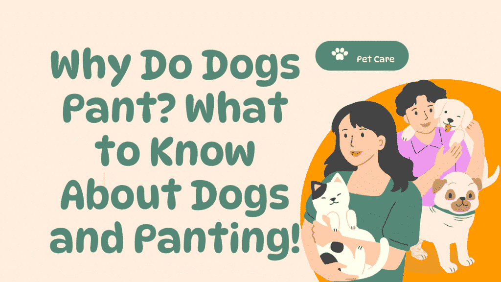 Dogs Pant