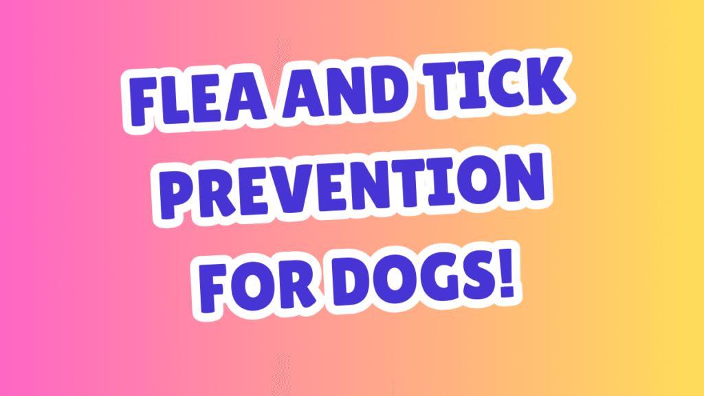 Flea and Tick Prevention for Dogs
