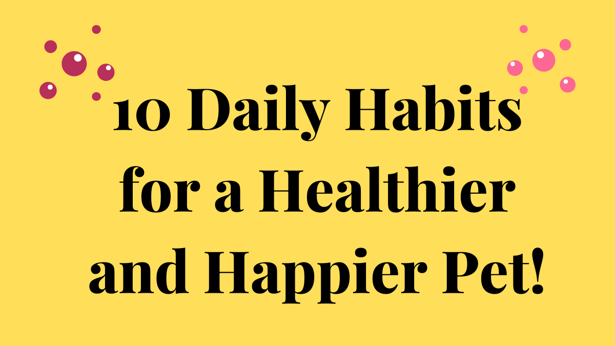 10 Daily Habits for a Healthier and Happier Pet 1 Healthier and Happier Pet