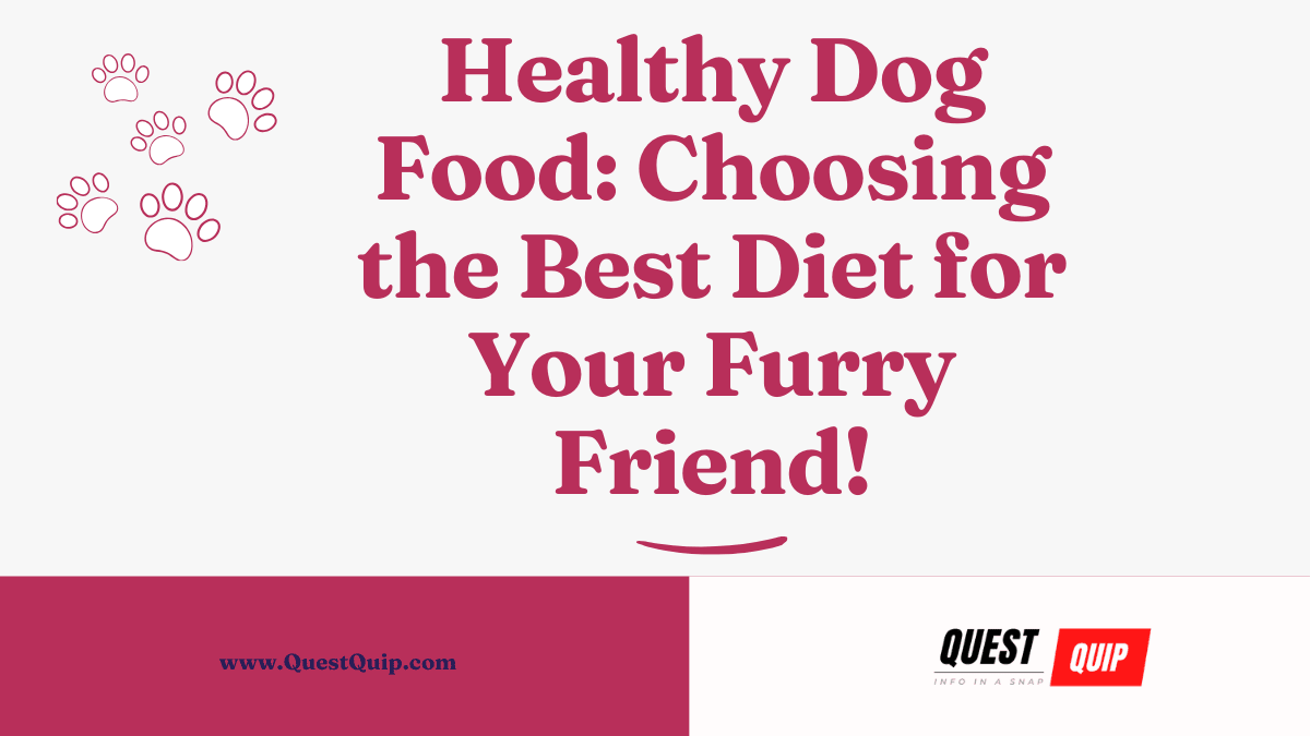 Healthy Dog Food
