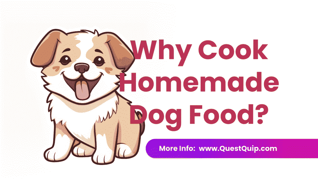 Homemade Dog Food