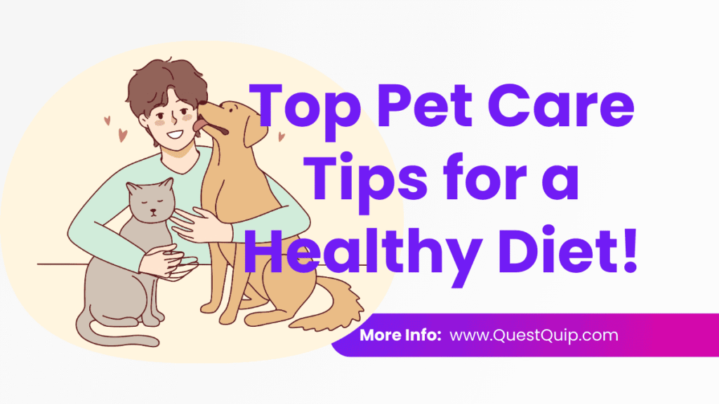 Pet Care for Beginners