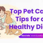 Pet Care Tips 1