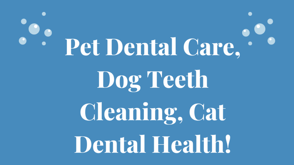 Pet Dental Care