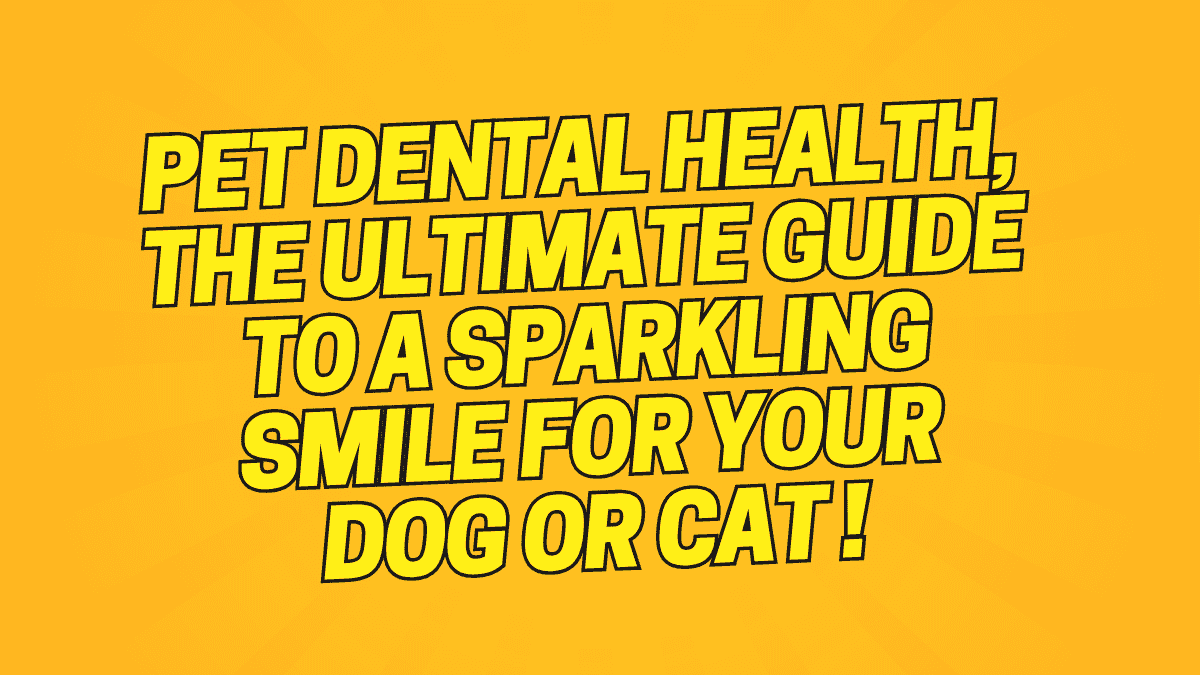 Pet Dental Health
