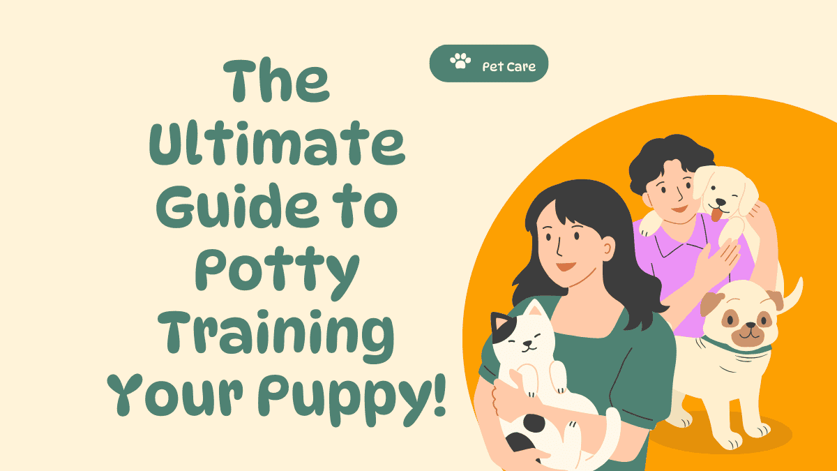 Potty Training Your Puppy