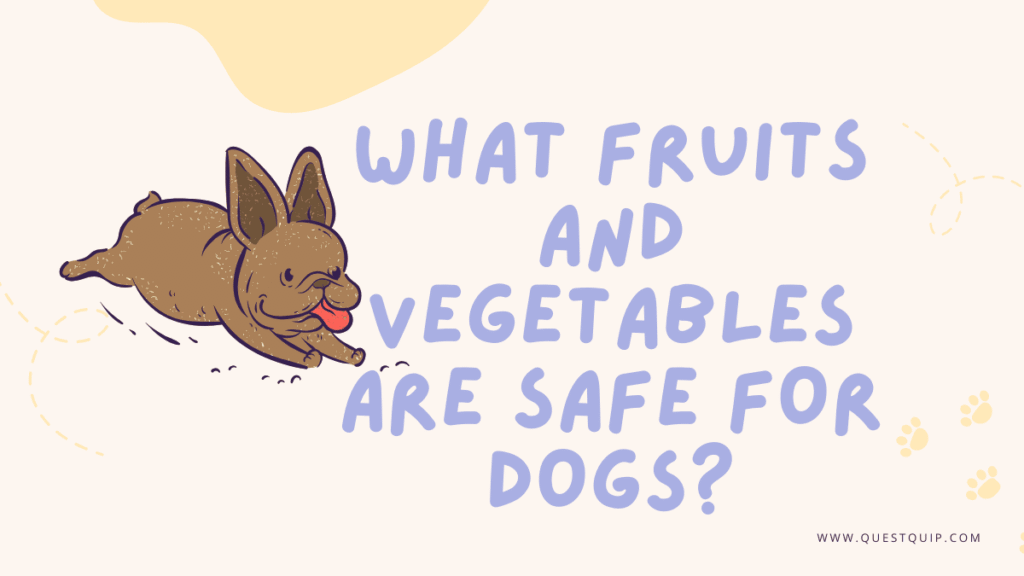 Safe for Dogs