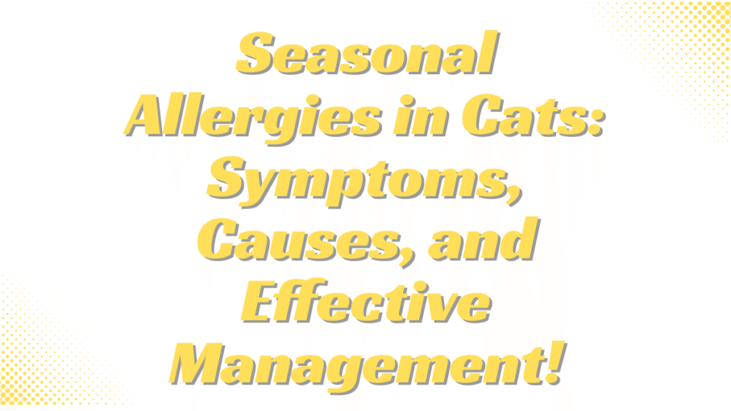 Seasonal Allergies in Cats