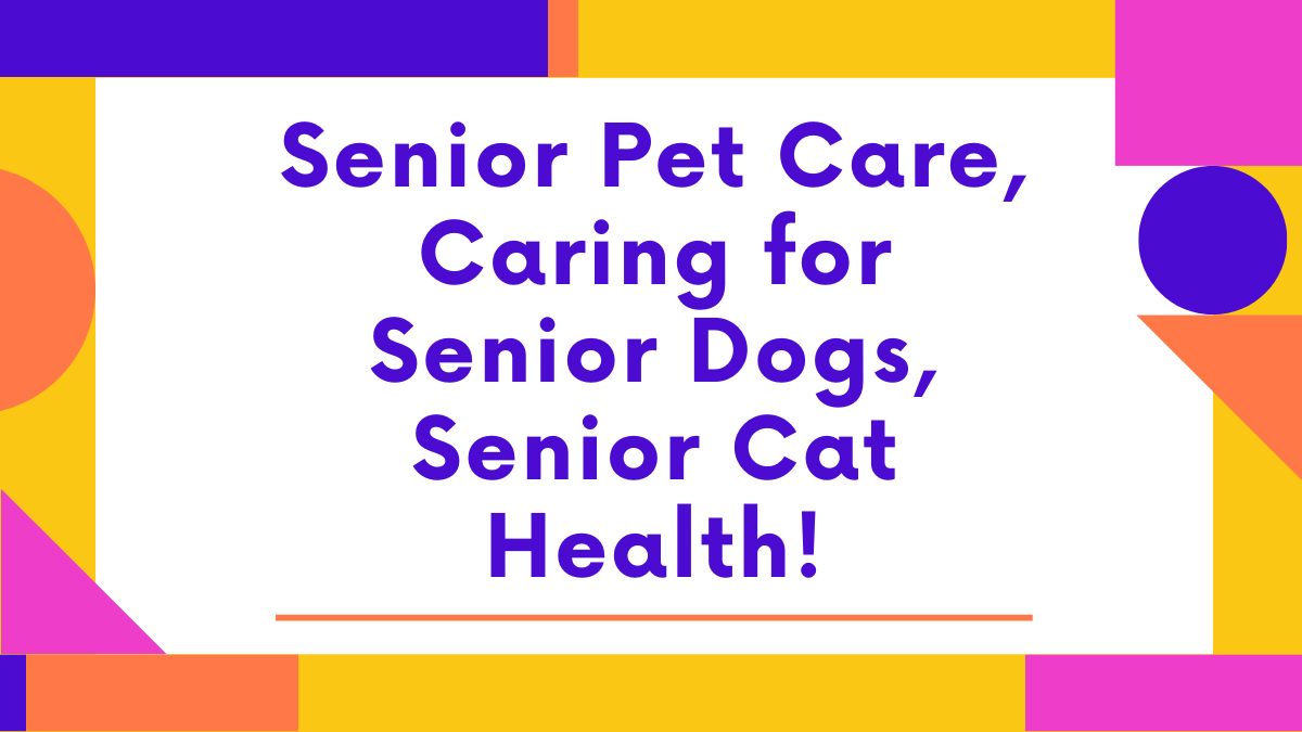 Senior Pet Care