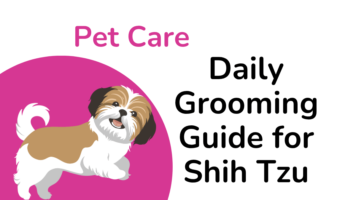 Shih Tzu Grooming