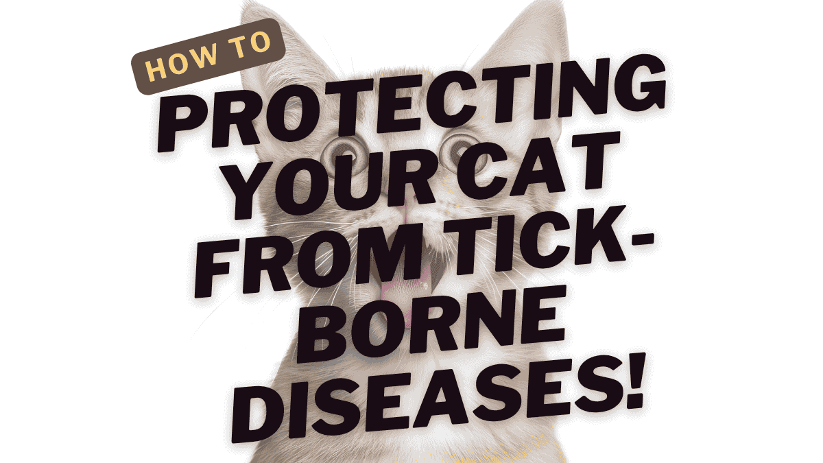 Tick-Borne Diseases
