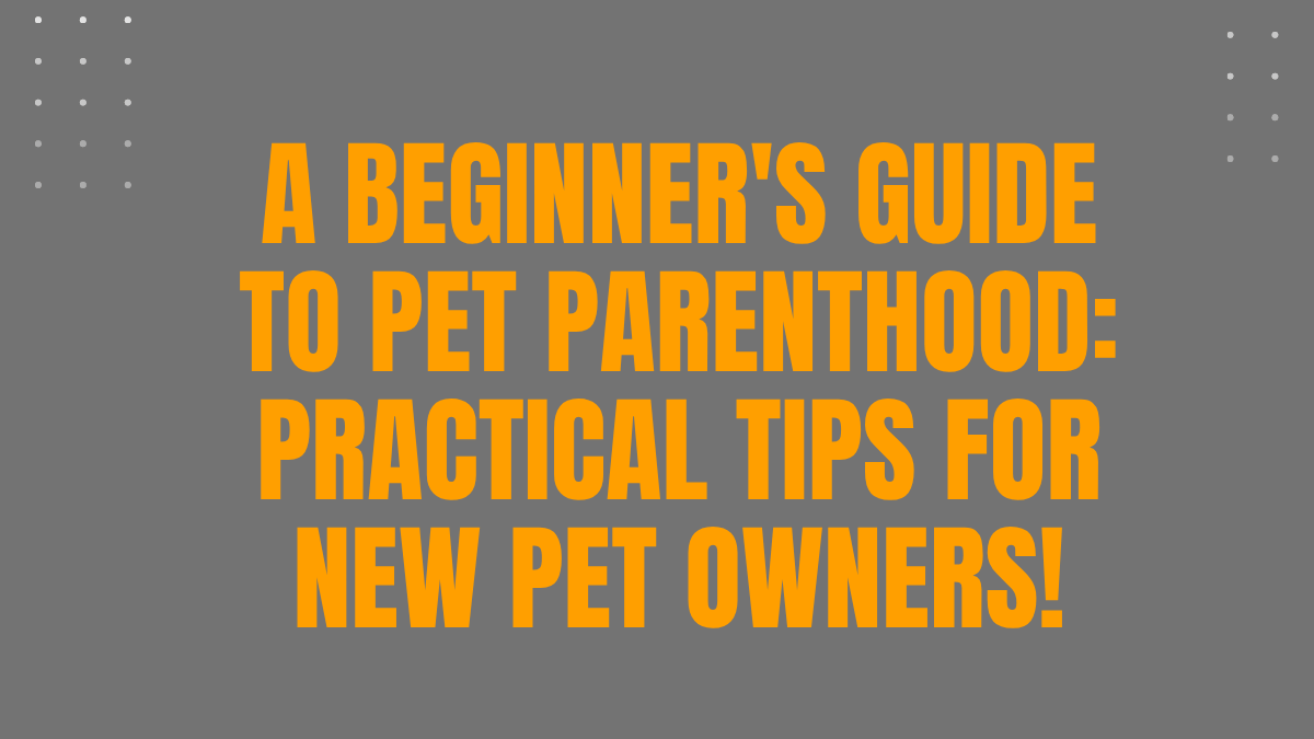 Tips for New Pet Owners