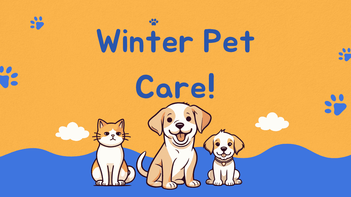 Winter Pet Care