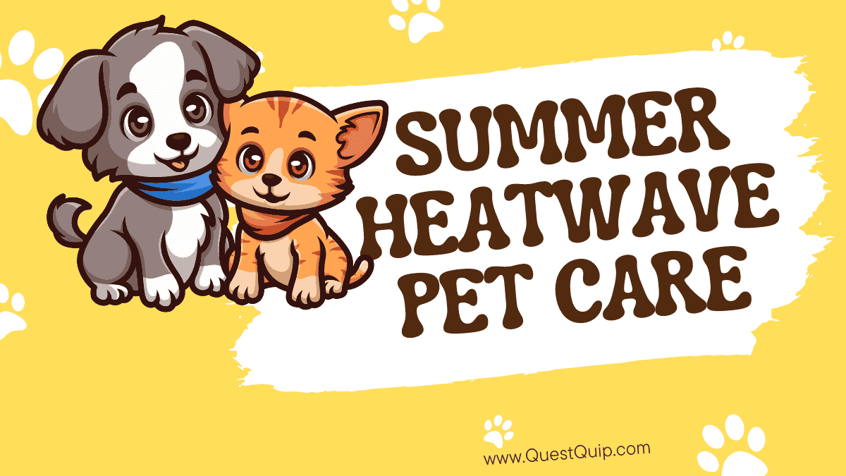 Summer Heatwave Pet Care