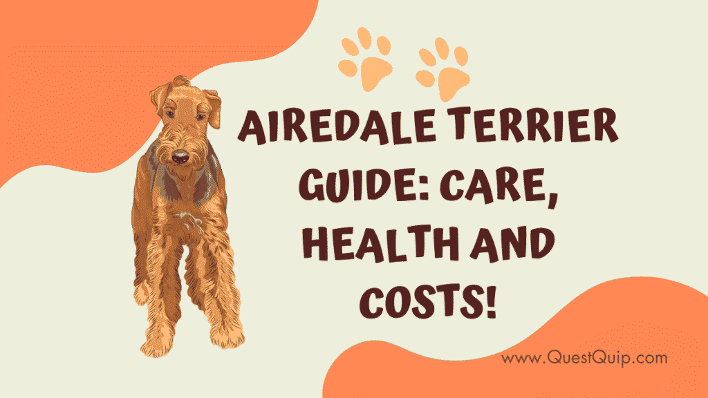 Airedale Terrier