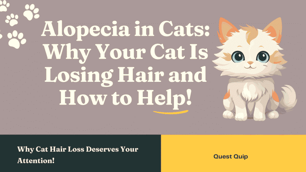 Alopecia in Cats