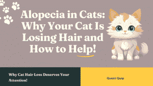Alopecia in Cats
