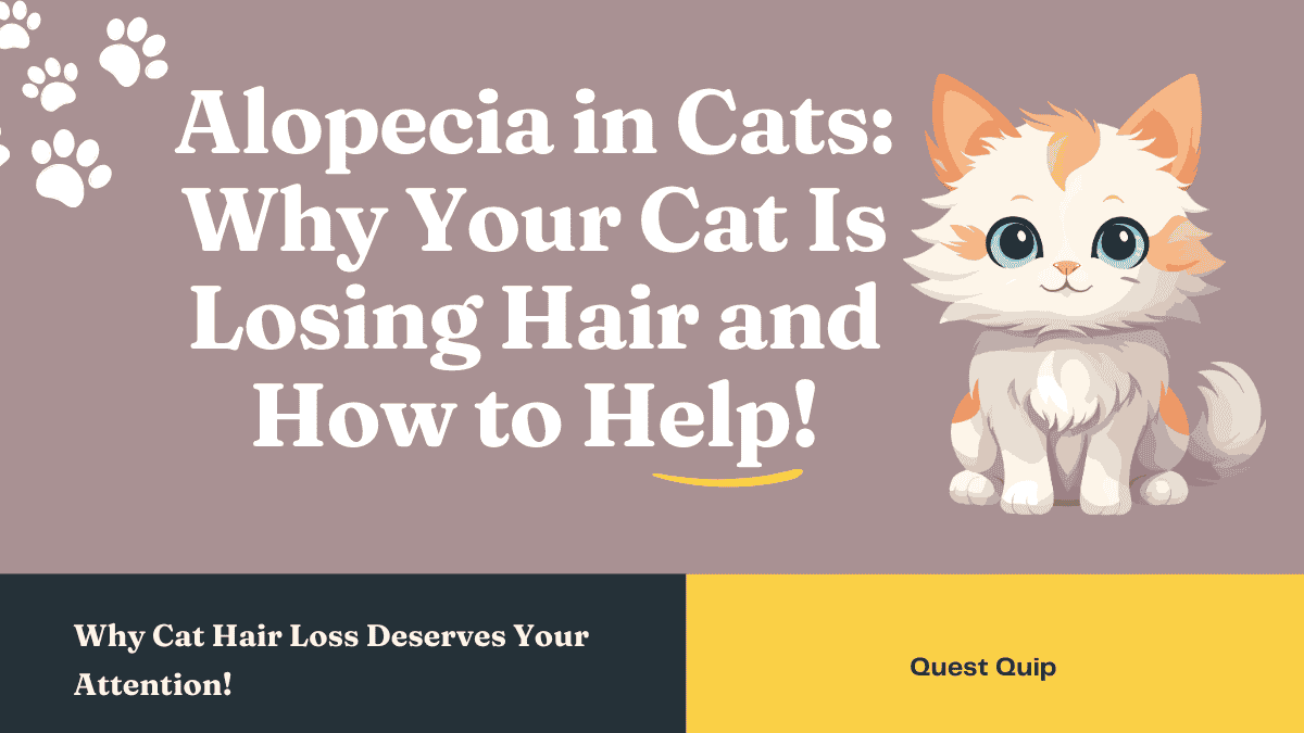 Alopecia in Cats