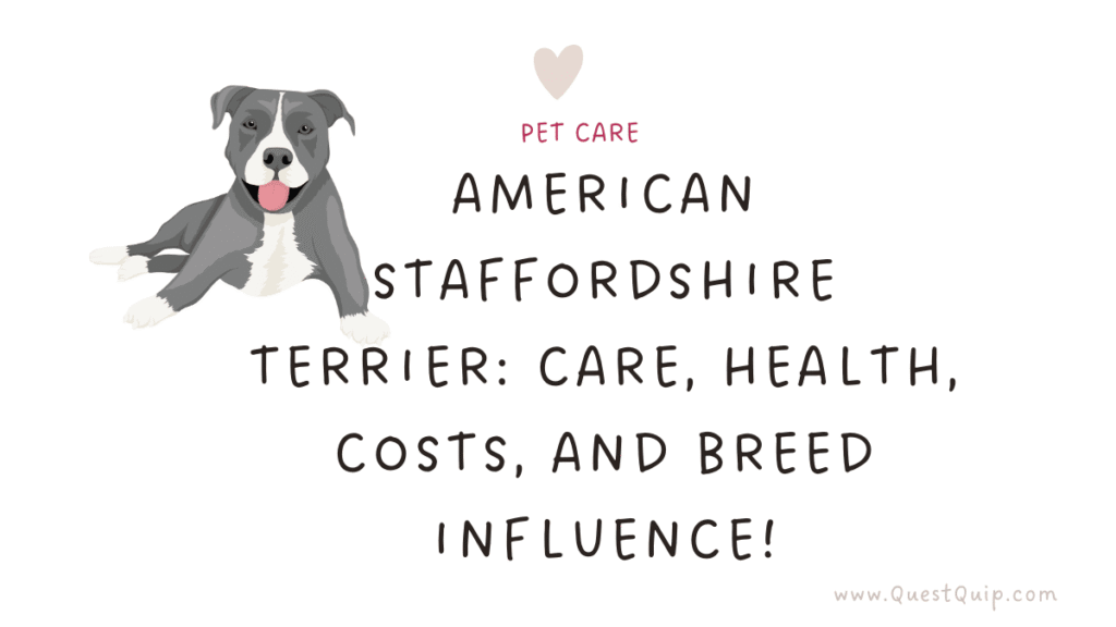 American Staffordshire Terrier: The Powerful and Affectionate Family Guardian 1 American Staffordshire Terrier