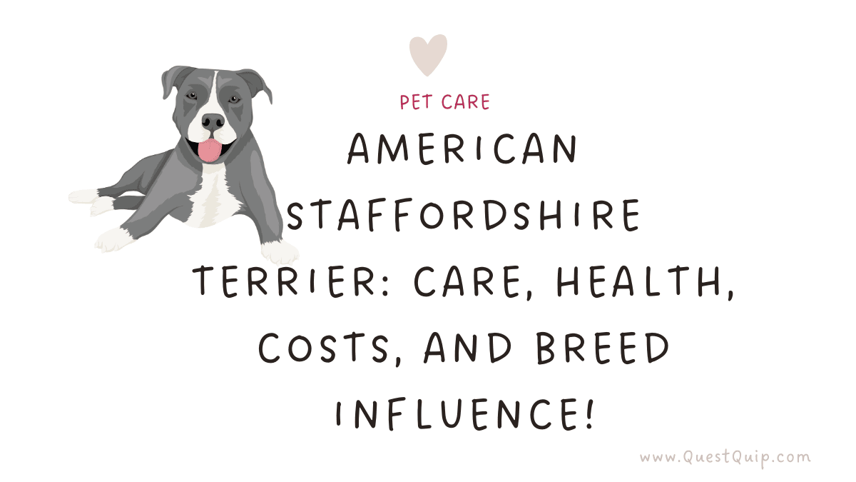 American Staffordshire Terrier