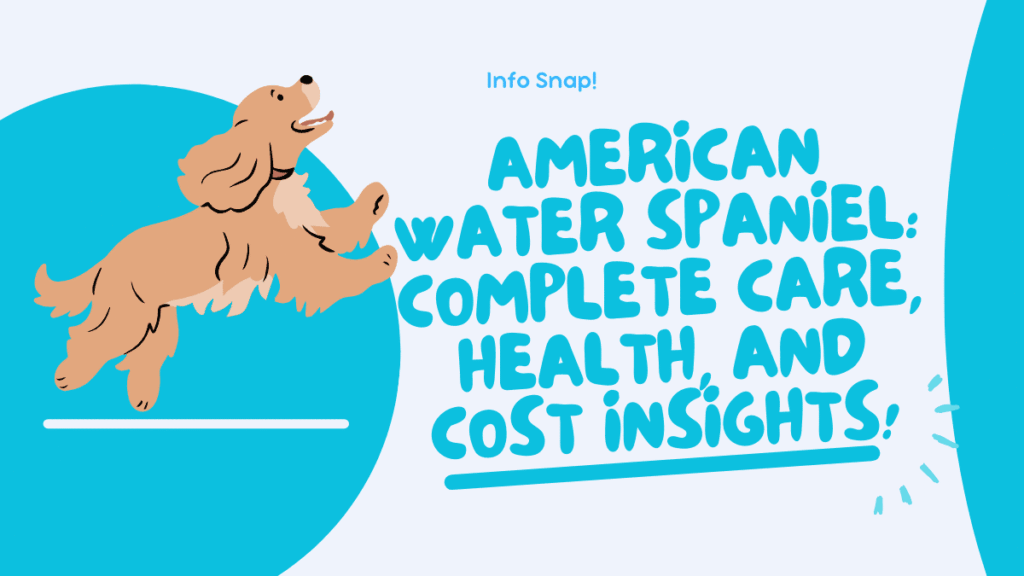 American Water Spaniel: American Water Spaniel Guide: Care, Traits & Cost Explained 1 American Water Spaniel