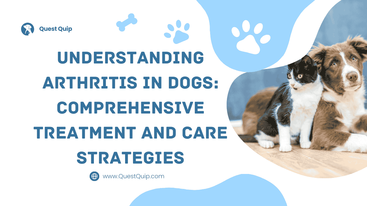 Arthritis in Dogs