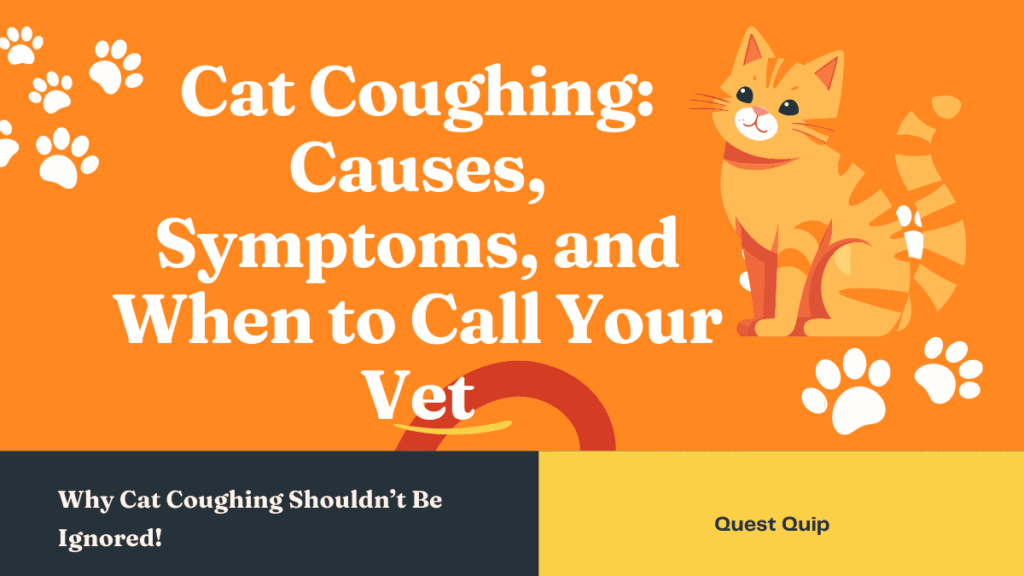 Cat Coughing