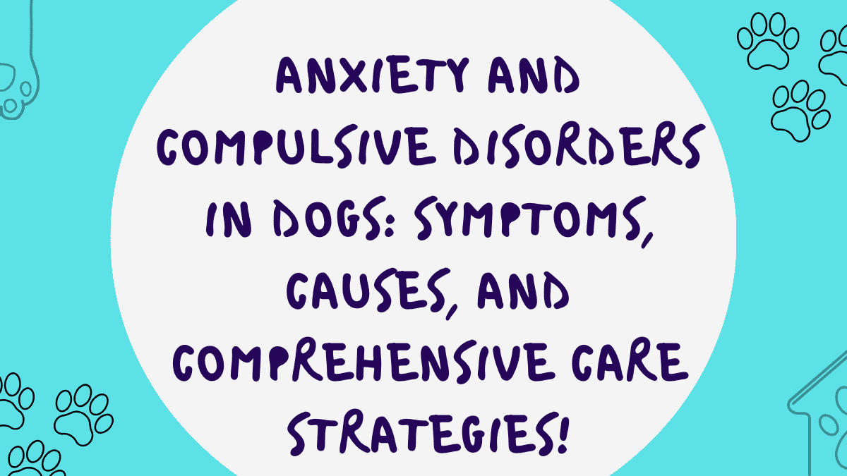 Compulsive Disorders in Dogs