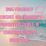 Dog-Friendly Beaches