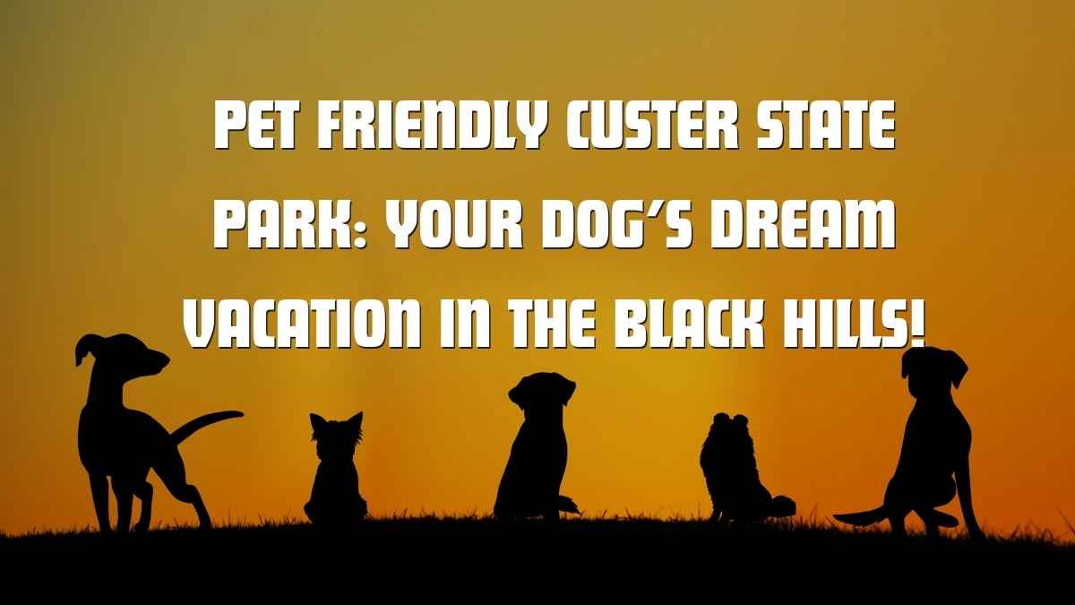 A Pet-Friendly Adventure in South Dakota’s Black Hills