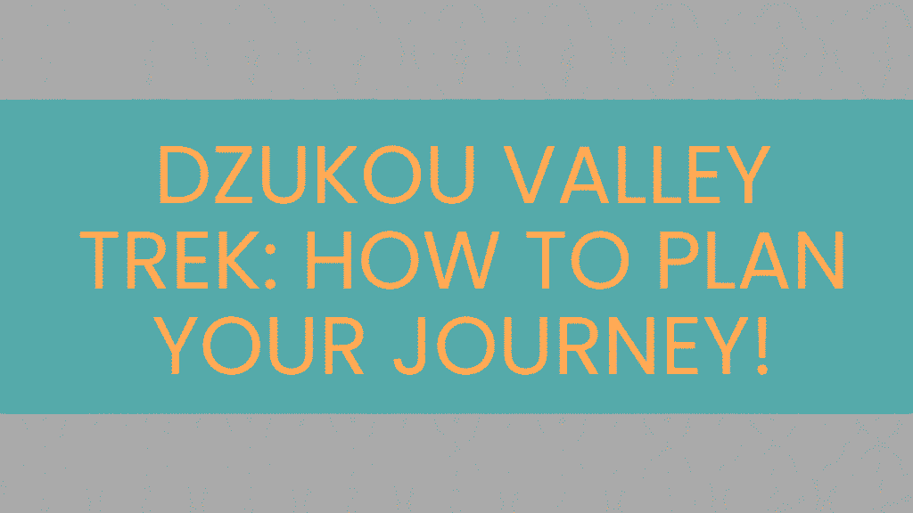 Dzukou Valley Trek