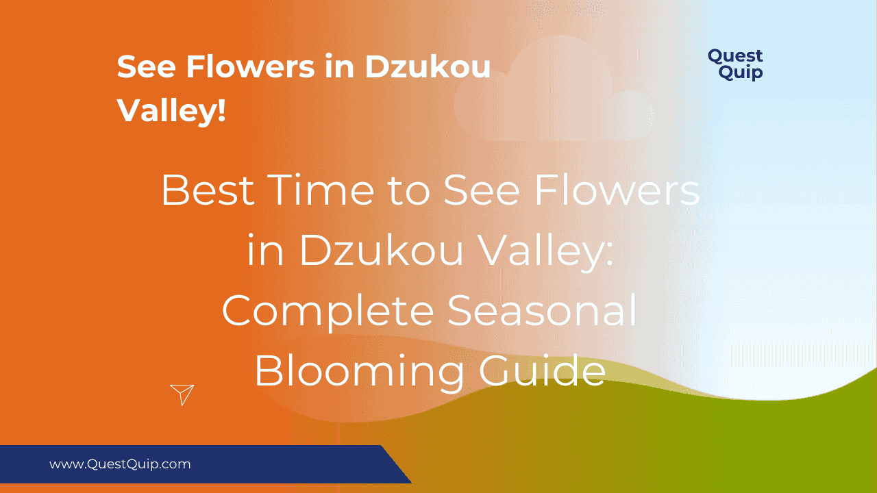 See Flowers in Dzukou Valley