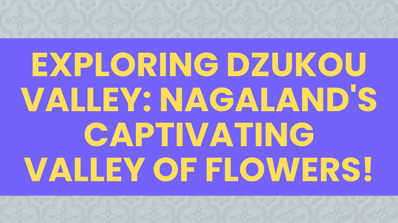 Exploring Dzukou Valley