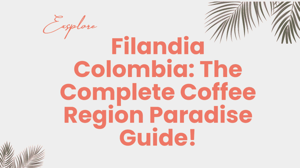 Ultimate Filandia Colombia Travel Guide: Coffee Culture, Colorful Streets & Authentic Experiences 1 Filandia Colombia
