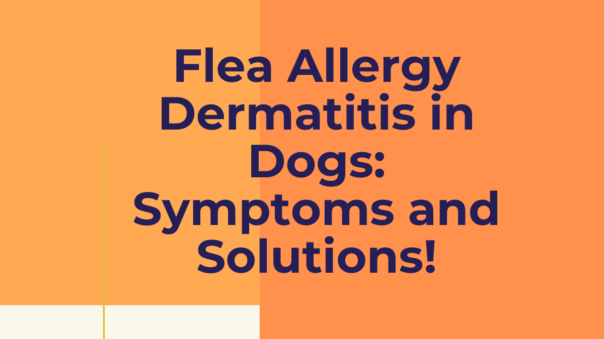 Flea Allergy Dermatitis in Dogs